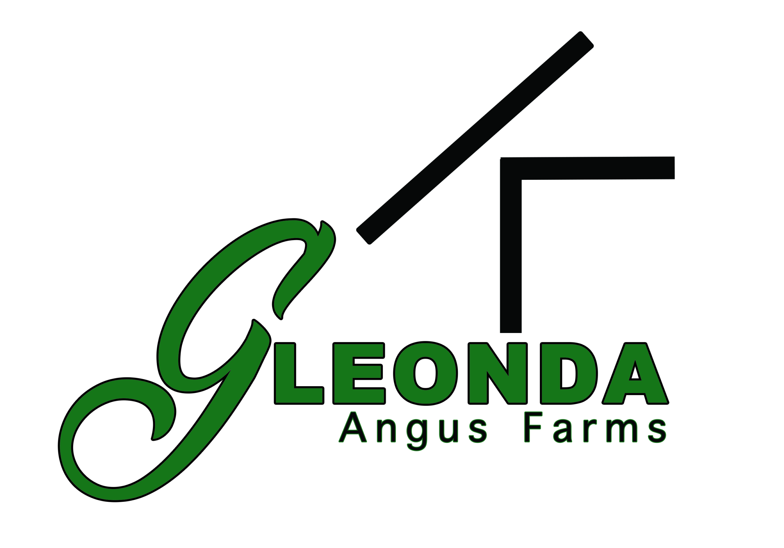 Gleonda Angus Farms